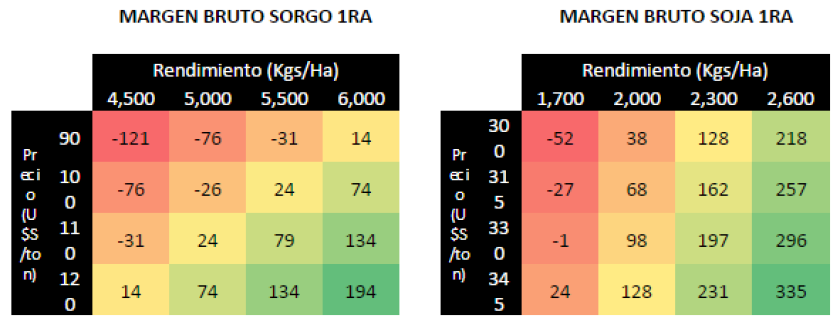 GRAFICO 2