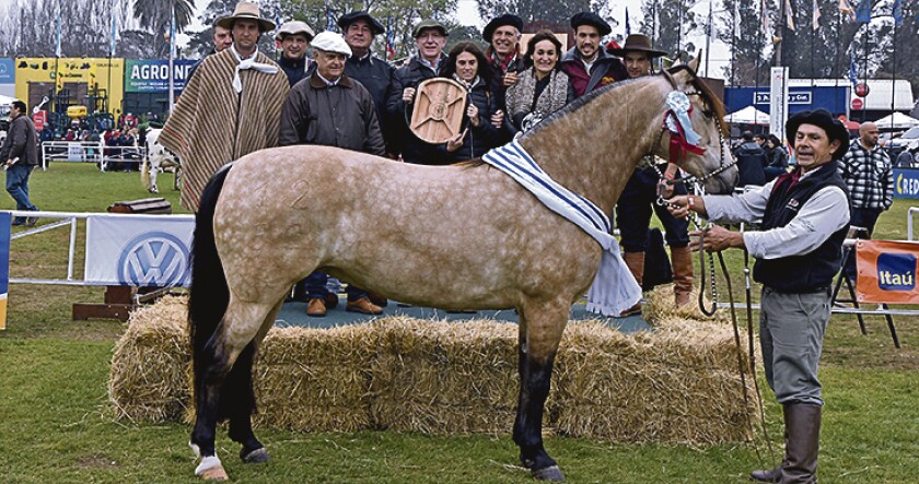 gca-criolla.jpg