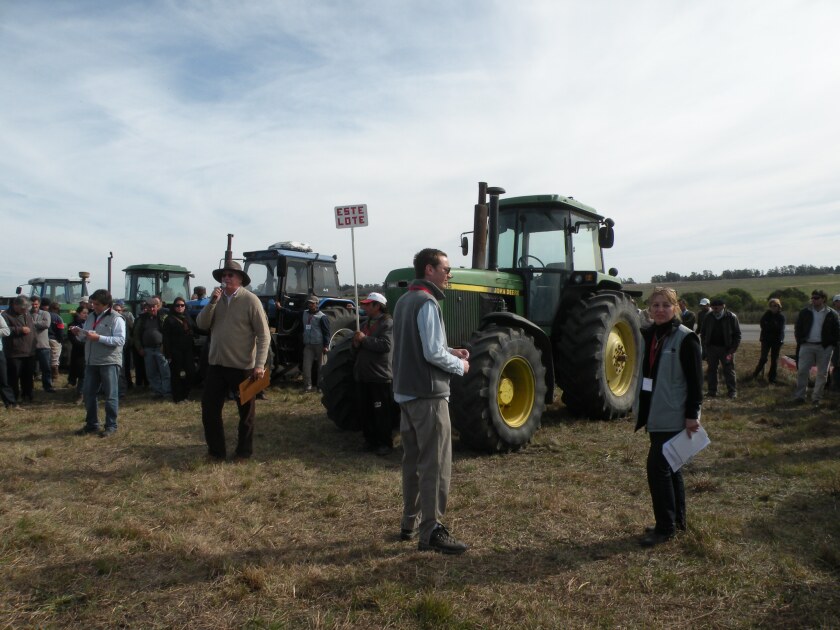 Remate rural