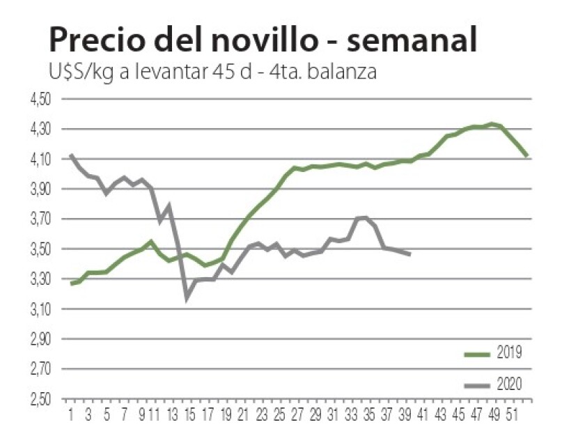 novillo-semanal.jpg