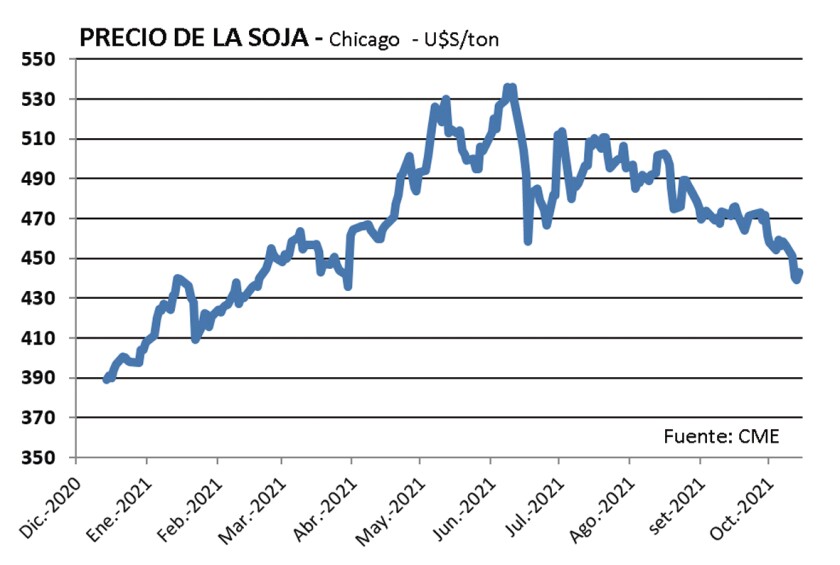 Imagen soja.jpg