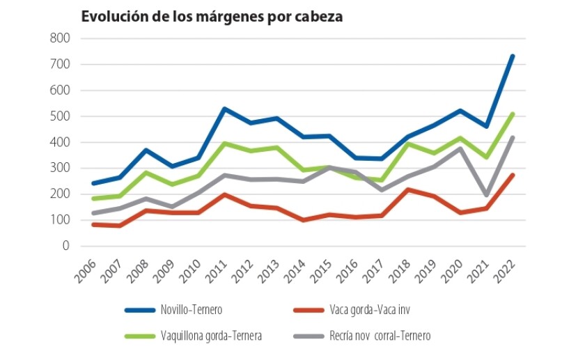 margenes por cabeza.jpg