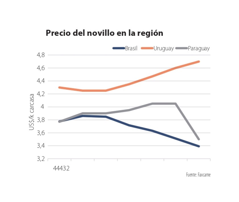 Precio del novillo en la región