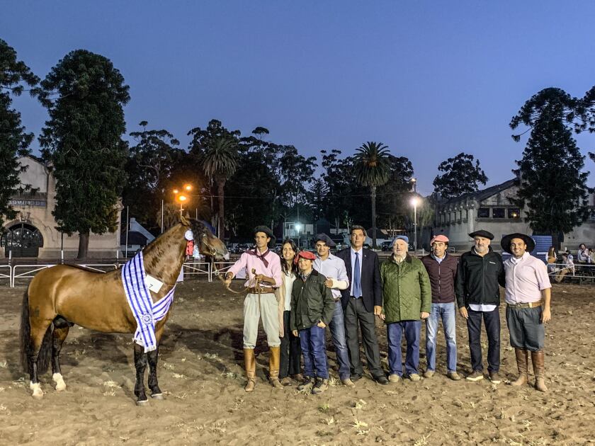 Gran Campeón Criollo Otoño