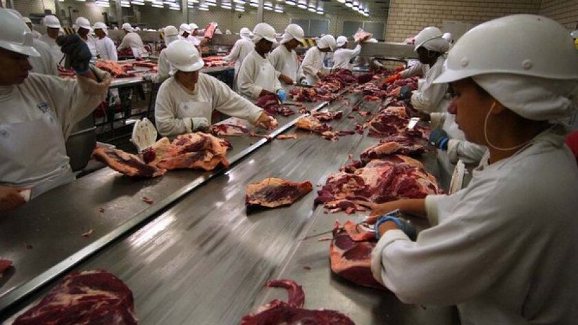 Frigorífico - carne vacuna