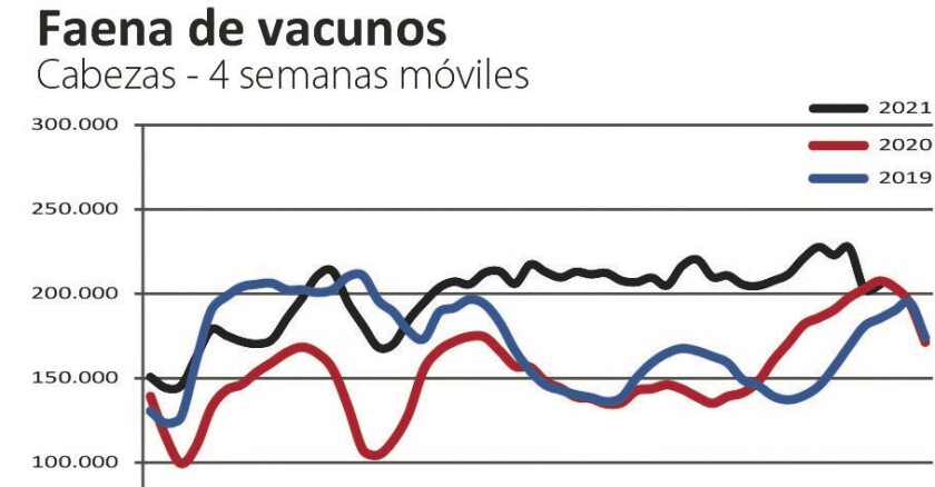 Pablo indicadores