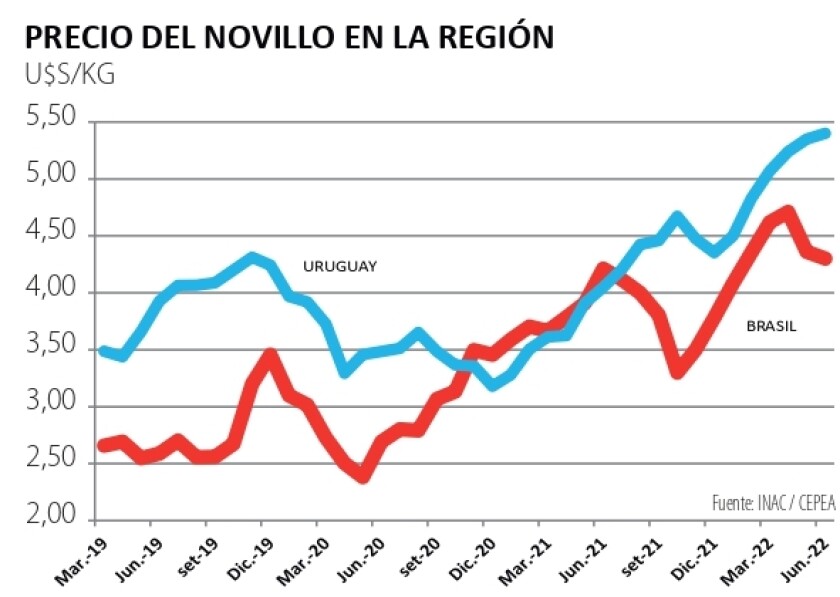 precio del novillo en la region .jpg