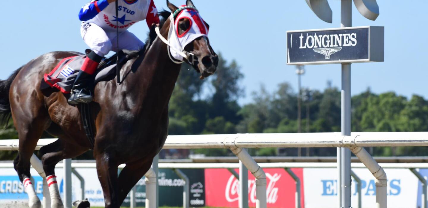 Girona Fever vuelve al ruedo en el José Serrato Noticias de Uruguay y