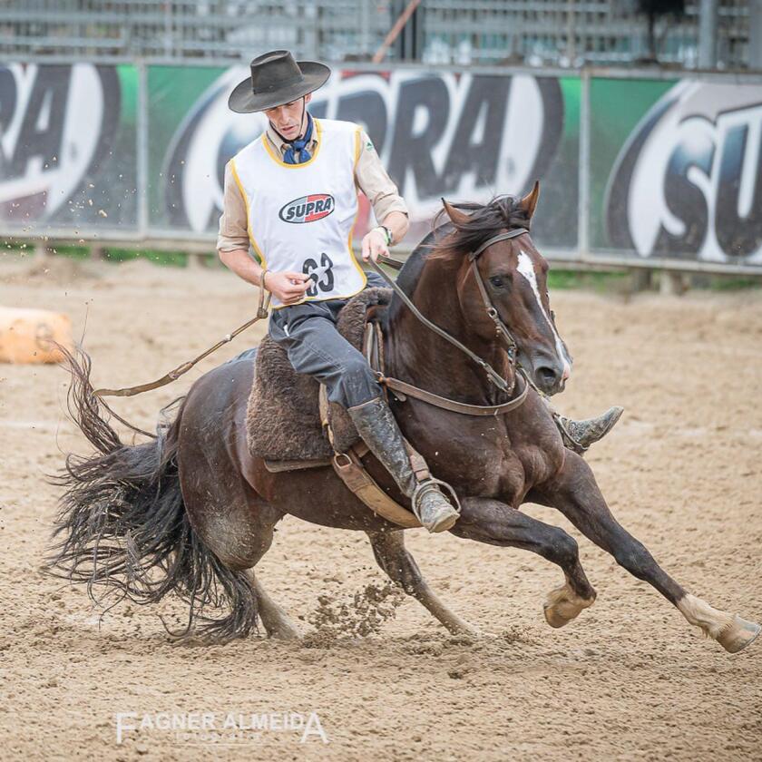 Freno de Plata 21
