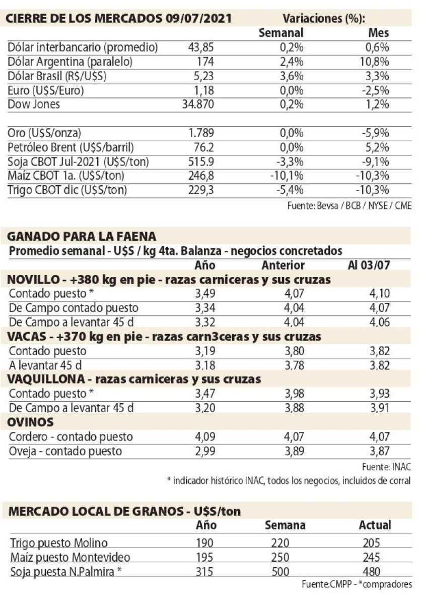 whatsapp-image-2021-07-10-at-09-26-05.jpeg