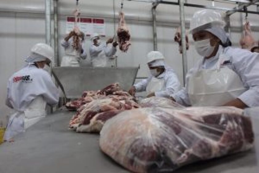 carne-frigorifico-300x200.jpg