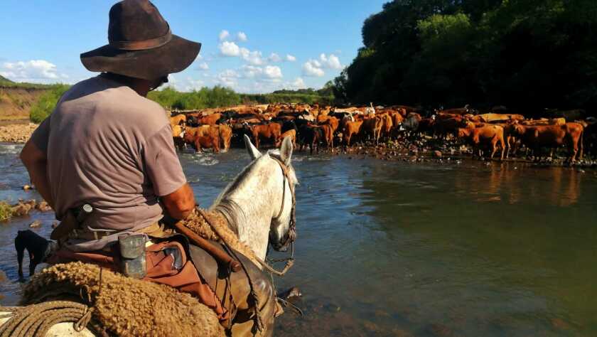 Los secretos de las quebradas son mejor contados por quien los vivió: turismo, historia y conciencia natural
