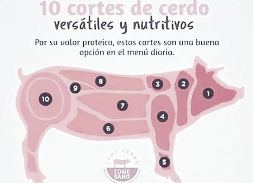 imagen-whatsapp-image-2021-01-05-at-18-13-13-1.jpg