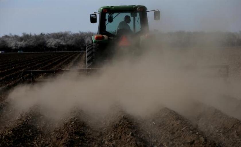 La lechería y el arroz son lo que más gasoil consumen. Foto: AFP