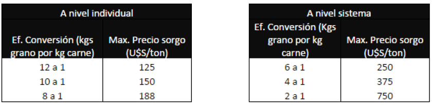 GRAFICO 3