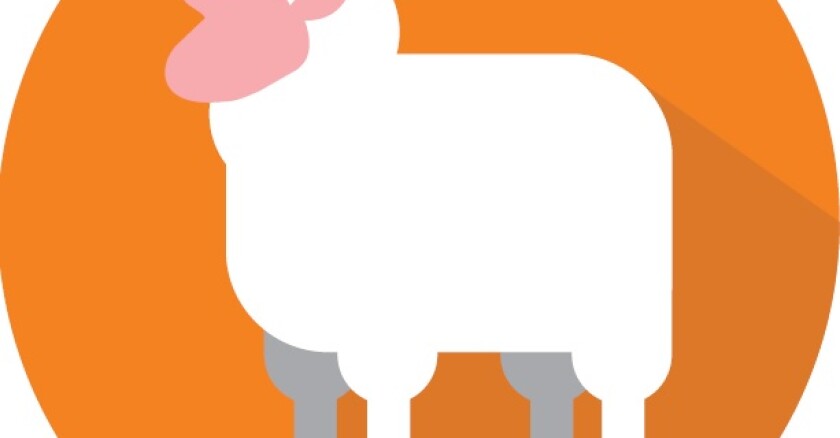 Agro para principiantes oveja
