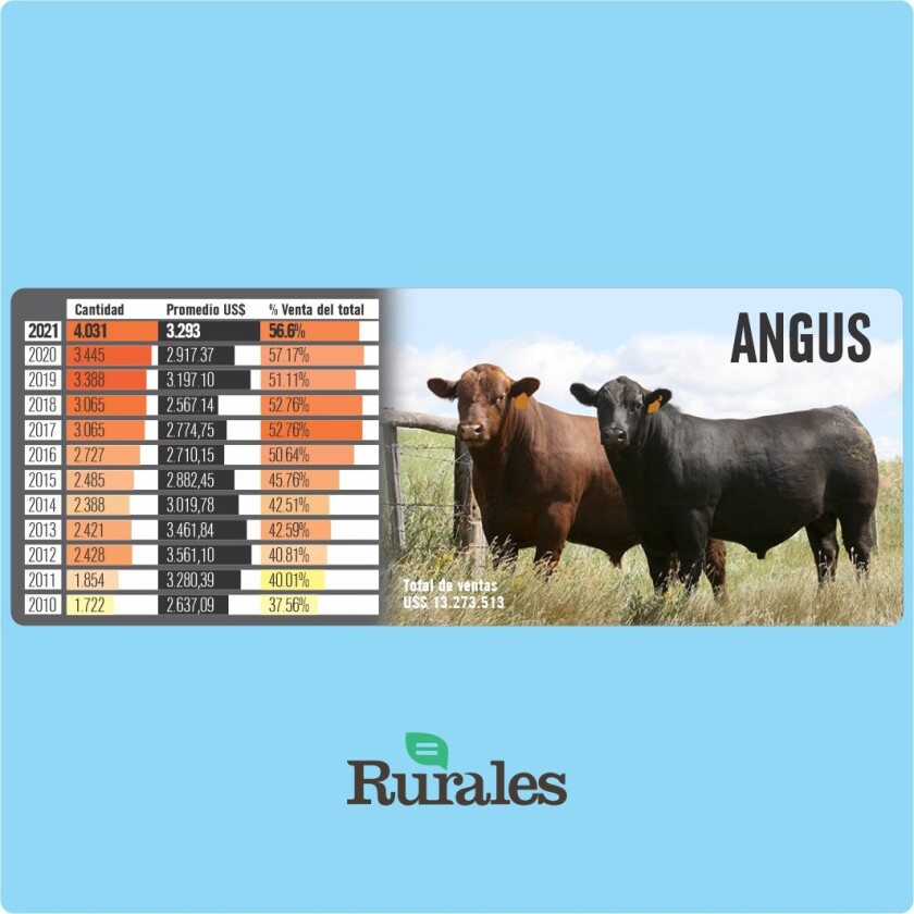 Angus.jpg