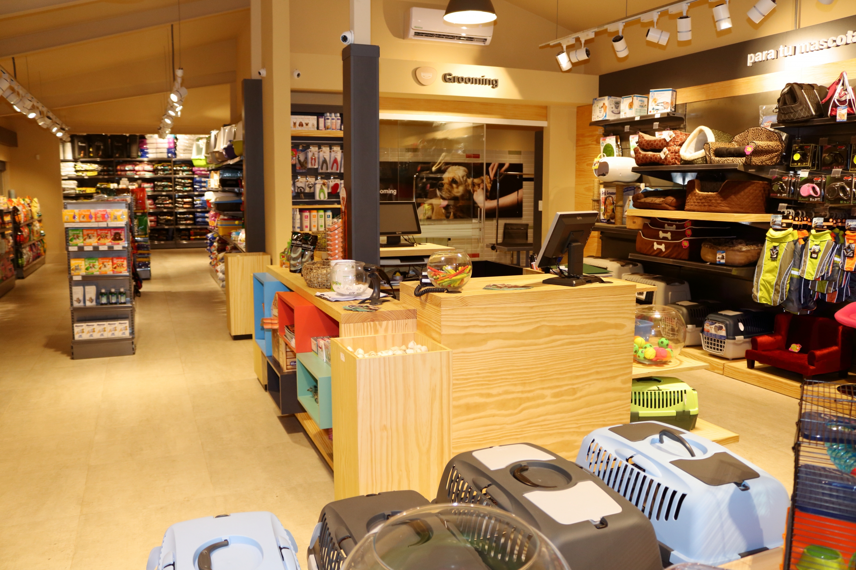 El eterno femenino de una imaginativa pintora