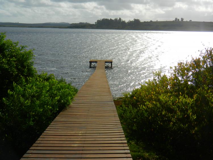 El eterno femenino de una imaginativa pintora