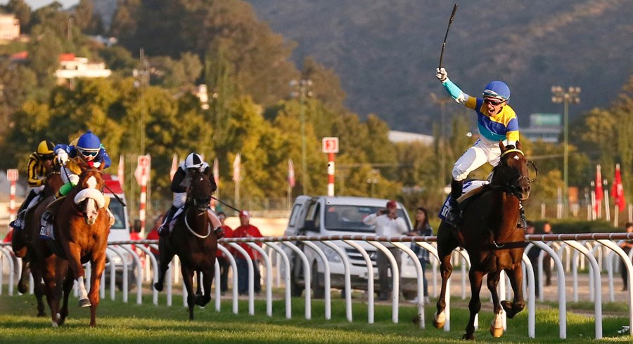 Rumbo a la gloria. Sixties Song cubre los últimos metros del Latinoamericano, al fondo Gandhi Di Job cede posiciones. Foto: Reuters