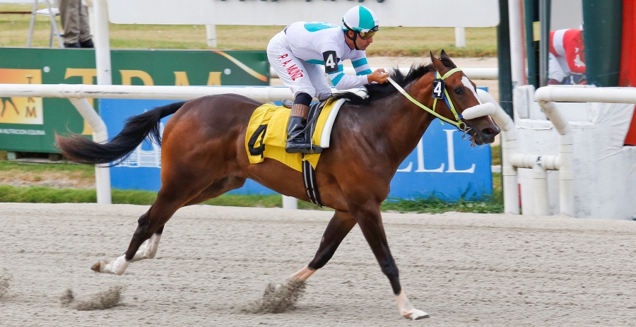 El eterno femenino de una imaginativa pintora
