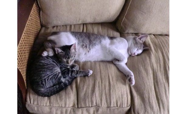 Ernesto y Fito (foto Sergio Altesor)