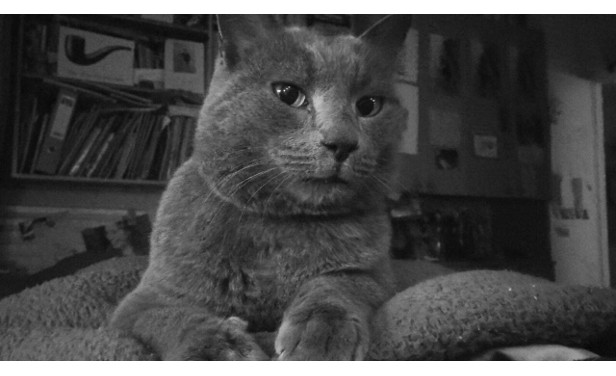 Lord Sandwich (foto Ioram Melcer)