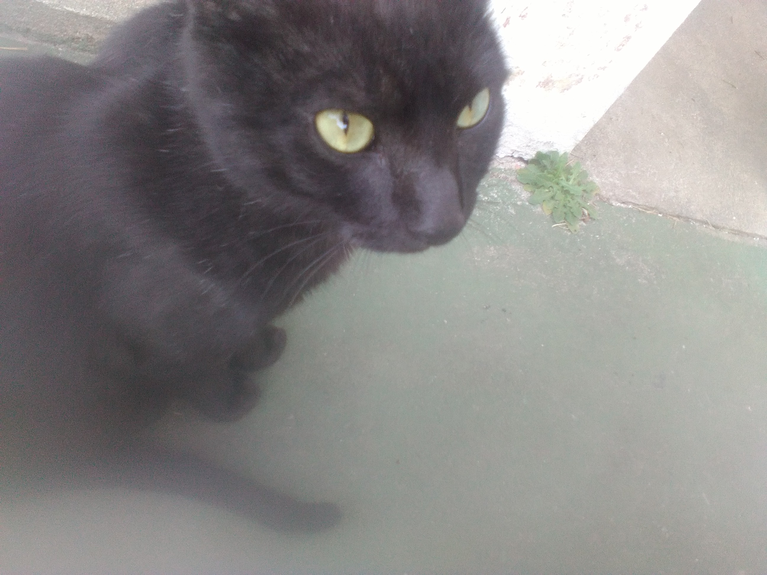 Tito (foto Daniel Mella)