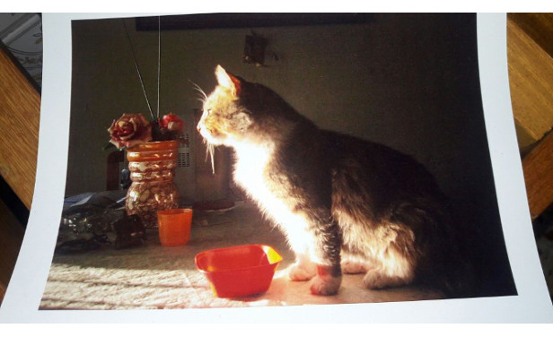 Rebolito (foto Mercedes Estramil)