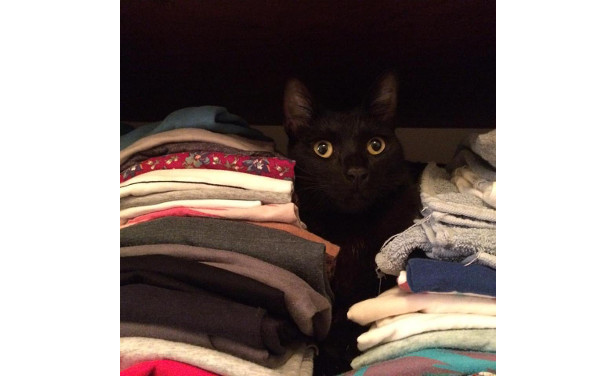 Sugus (foto Vera von Kreutzbruck)