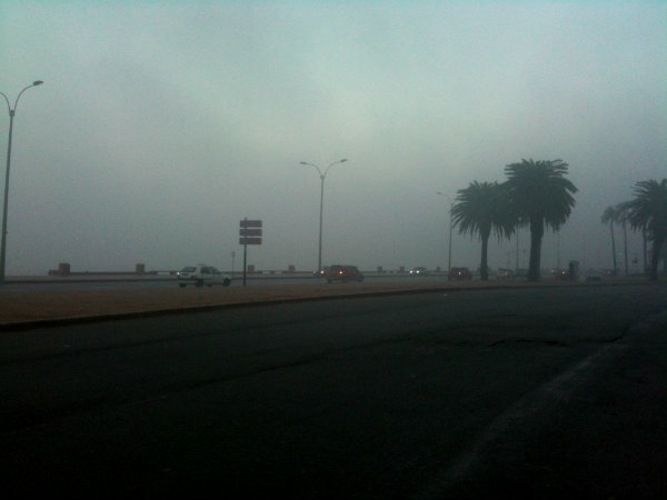 El eterno femenino de una imaginativa pintora