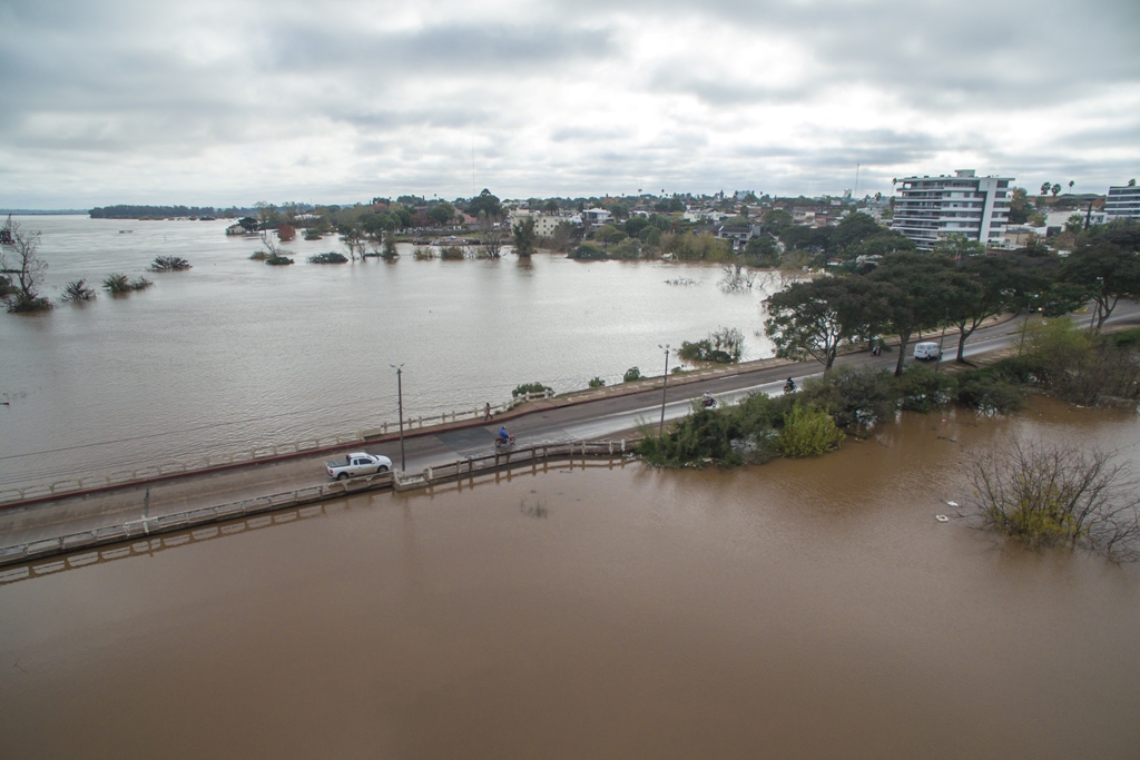 Las aguas del Río Uruguay continúan creciendo sobre las costas de Bella Unión, Salto, Paysandú y Río Negro. Foto: Gerardo Fiorelli