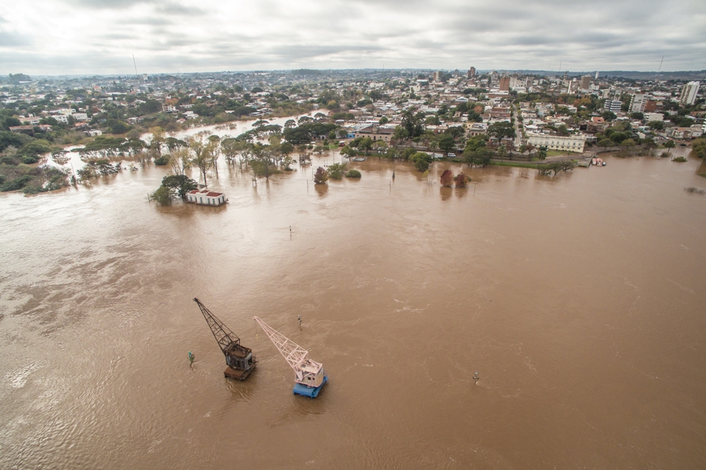 Las aguas del Río Uruguay continúan creciendo sobre las costas de Bella Unión, Salto, Paysandú y Río Negro. Foto: Gerardo Fiorelli