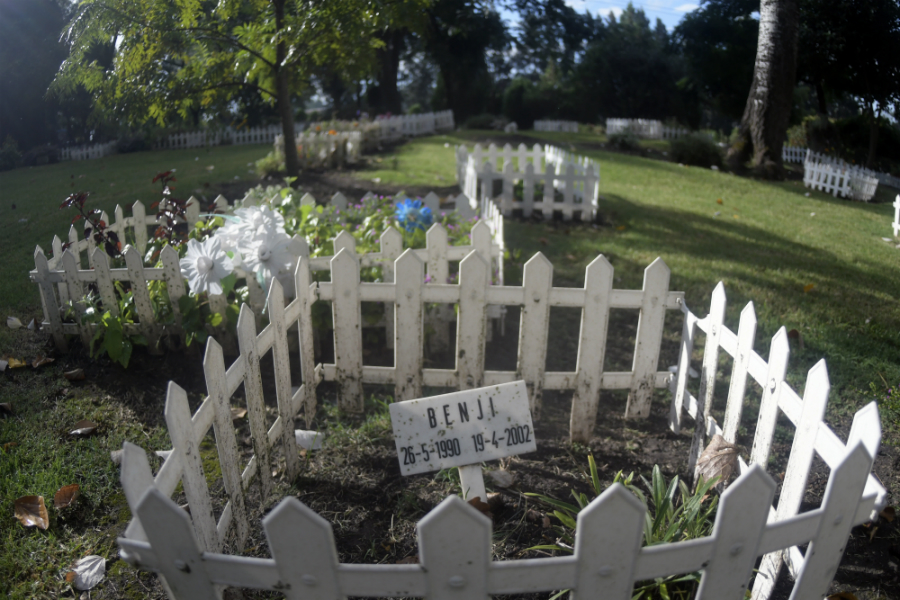 Cementerios: además de perros y gatos hay tortugas, hamsters, patos y ovejas enterradas. Foto: Fernando Ponzetto