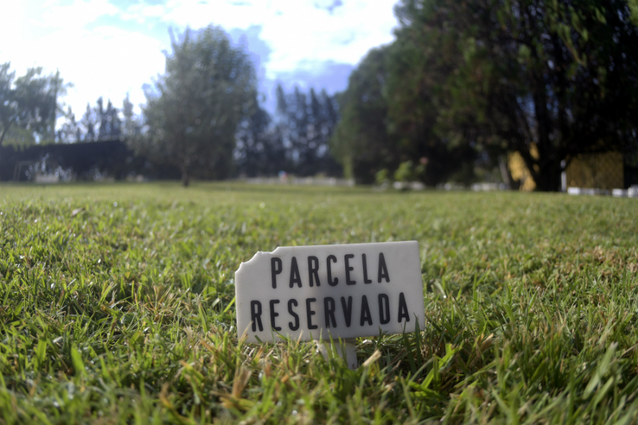 Cementerios: además de perros y gatos hay tortugas, hamsters, patos y ovejas enterradas. Foto: Fernando Ponzetto