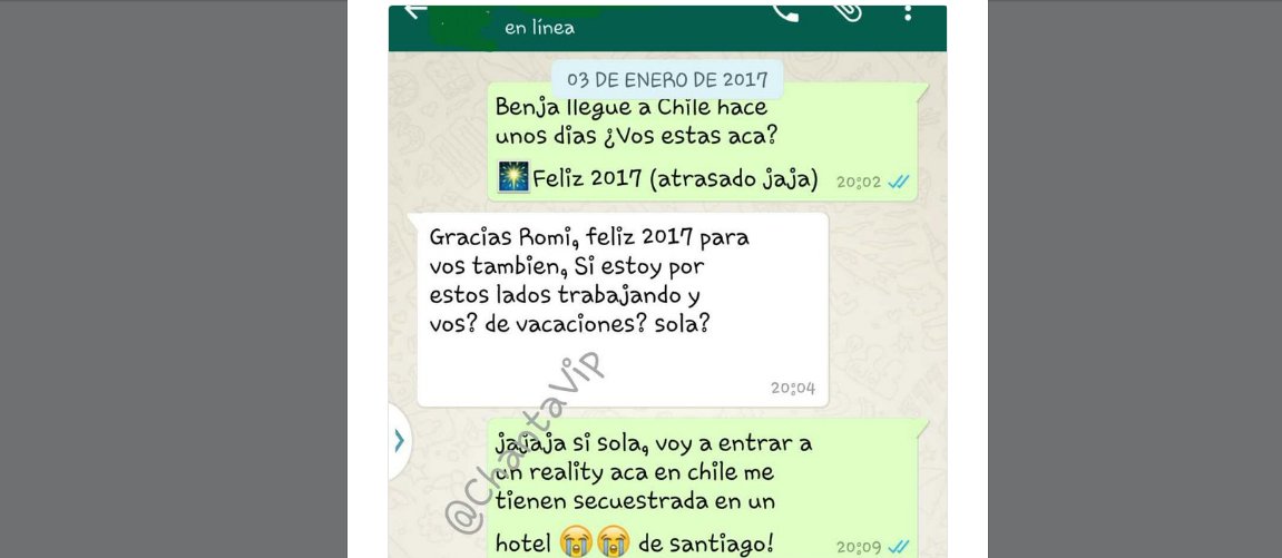 El polémico chat entre Vicuña y Malaspina