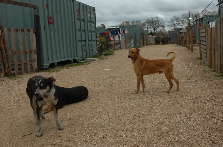 El eterno femenino de una imaginativa pintora