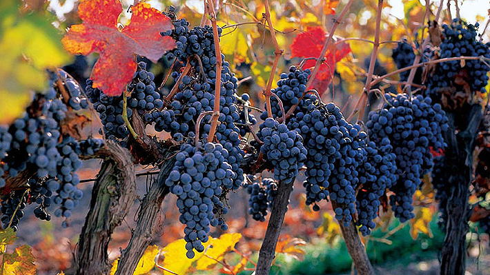 El eterno femenino de una imaginativa pintora