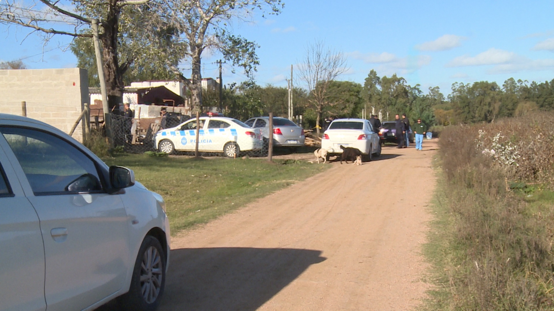 El eterno femenino de una imaginativa pintora