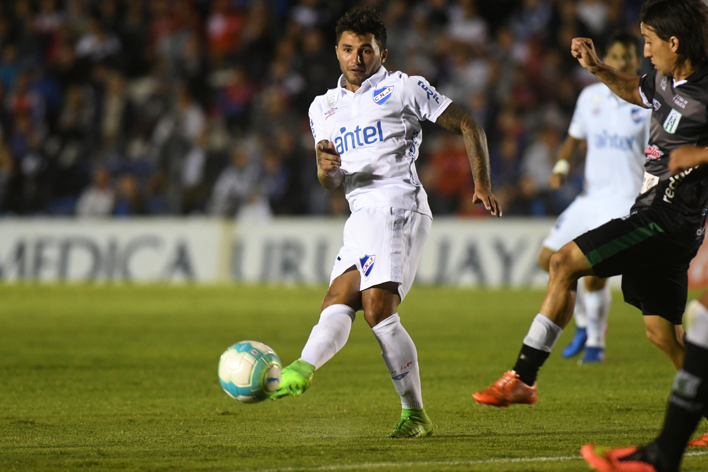 El eterno femenino de una imaginativa pintora