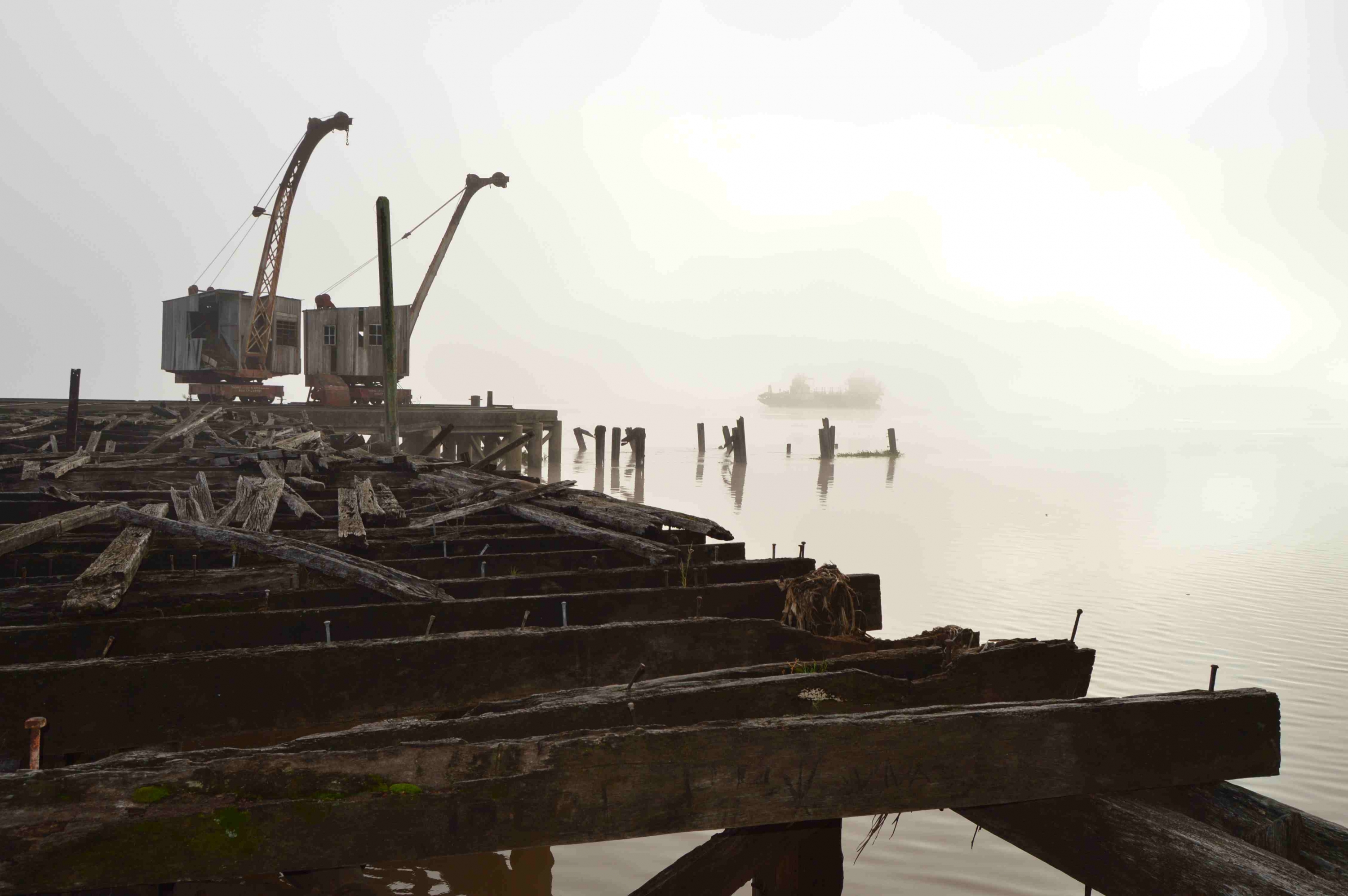 Un equipo de varios expertos recorre el río Uruguay frente a Fray Bentos. Foto: Daniel Rojas