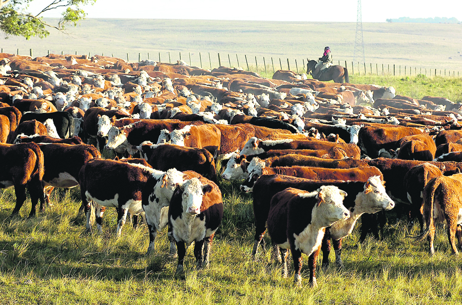 El eterno femenino de una imaginativa pintora