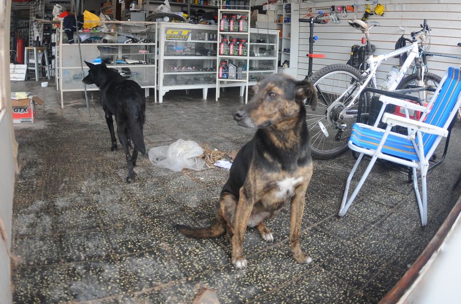 El eterno femenino de una imaginativa pintora