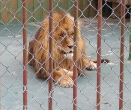 El eterno femenino de una imaginativa pintora