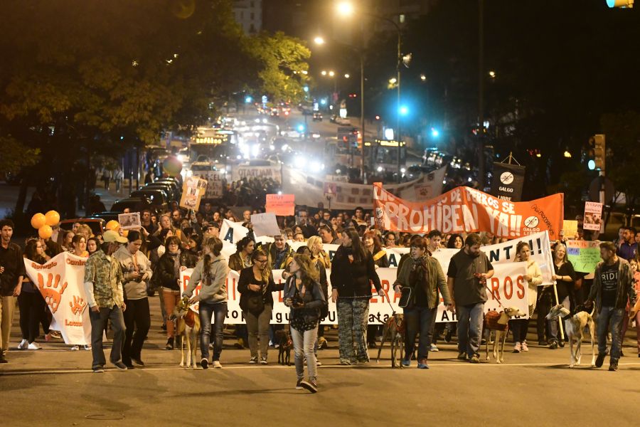 El eterno femenino de una imaginativa pintora