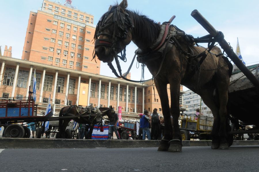 El eterno femenino de una imaginativa pintora