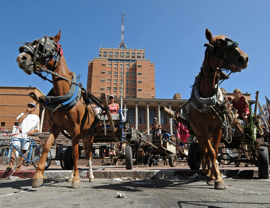 Carros de caballos. Foto: AFP
