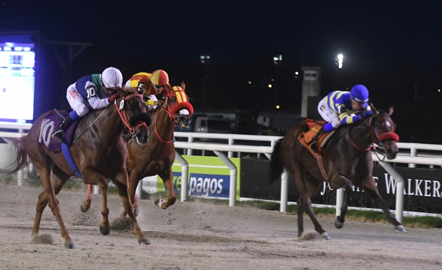 El eterno femenino de una imaginativa pintora