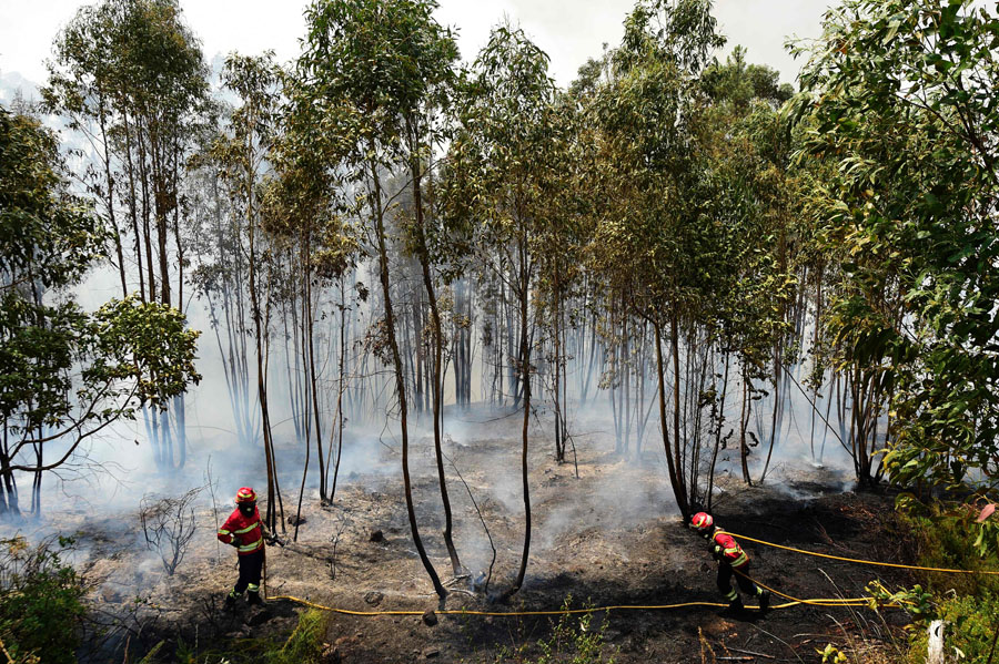 Incendios en Portugal. Foto: AFP