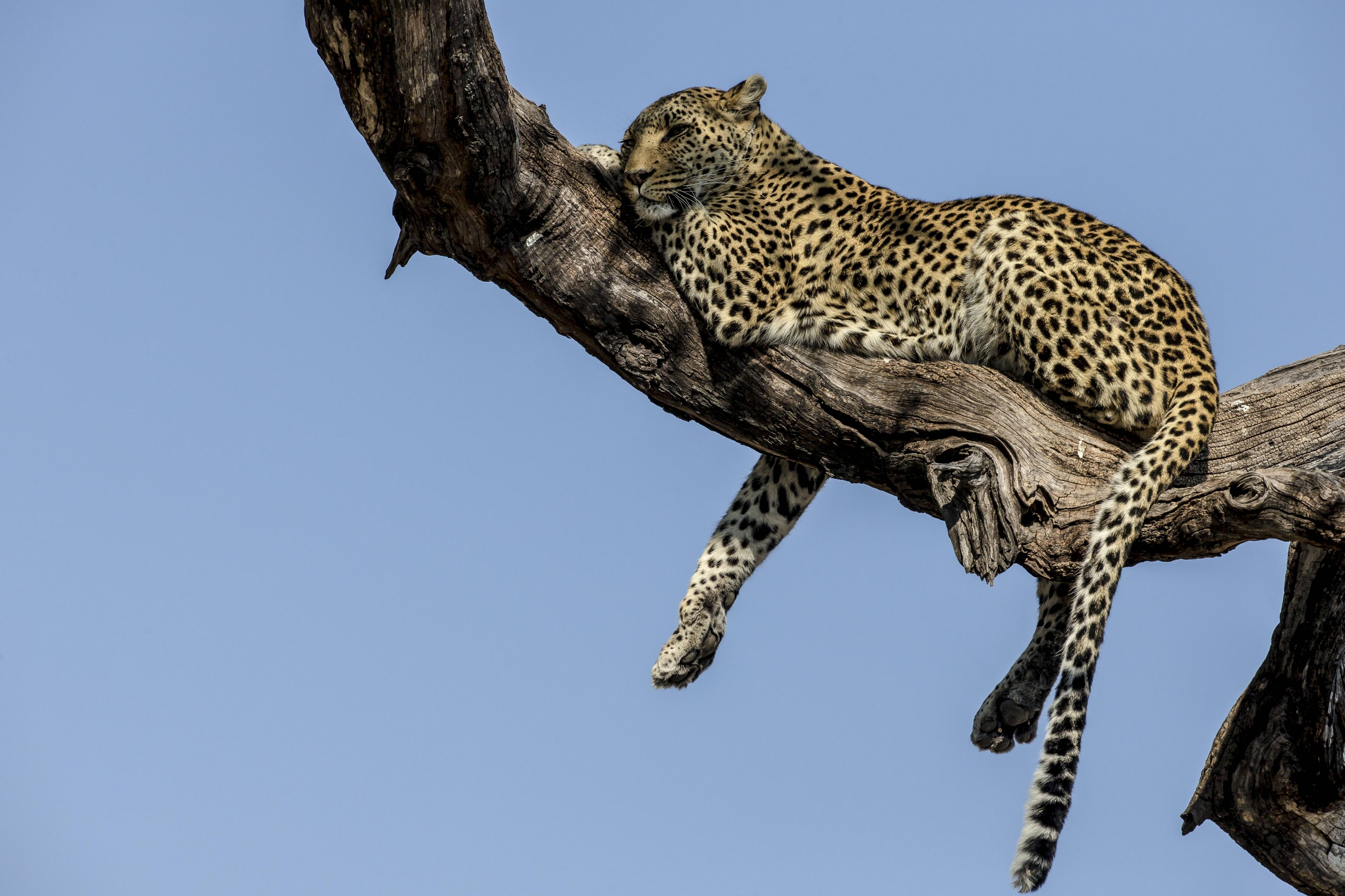 El eterno femenino de una imaginativa pintora